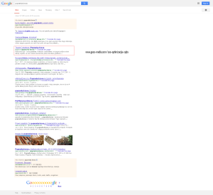 popravka-krova-Google-com