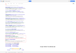 tegola-canadese-Google 3 tegola-canadese-Google